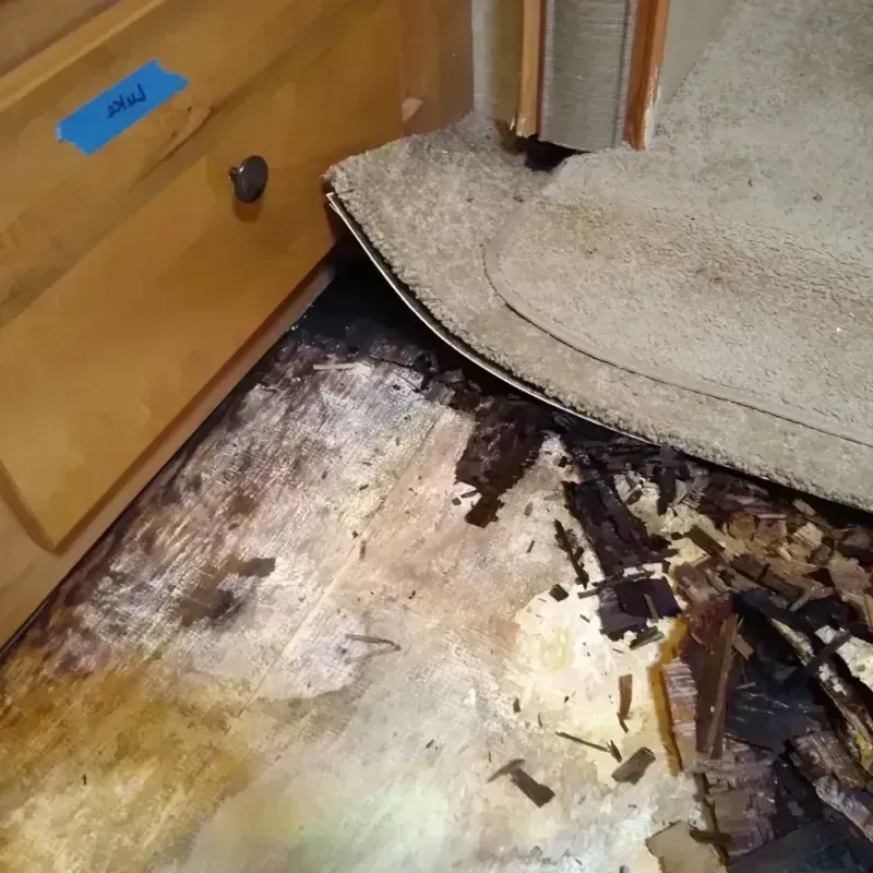 Wood Floor Water Damage in Phillips County, AR